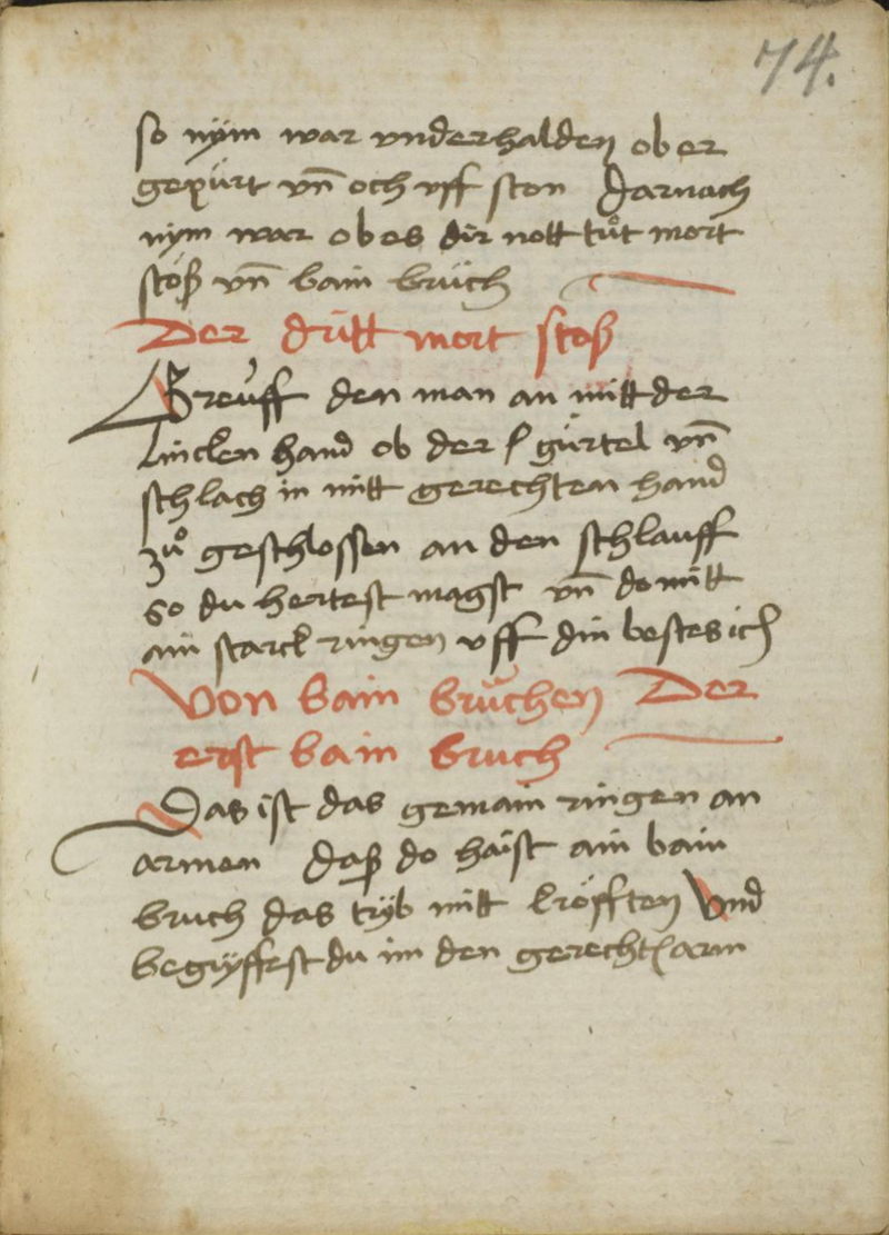 MS Dresd.C.487 074r.png