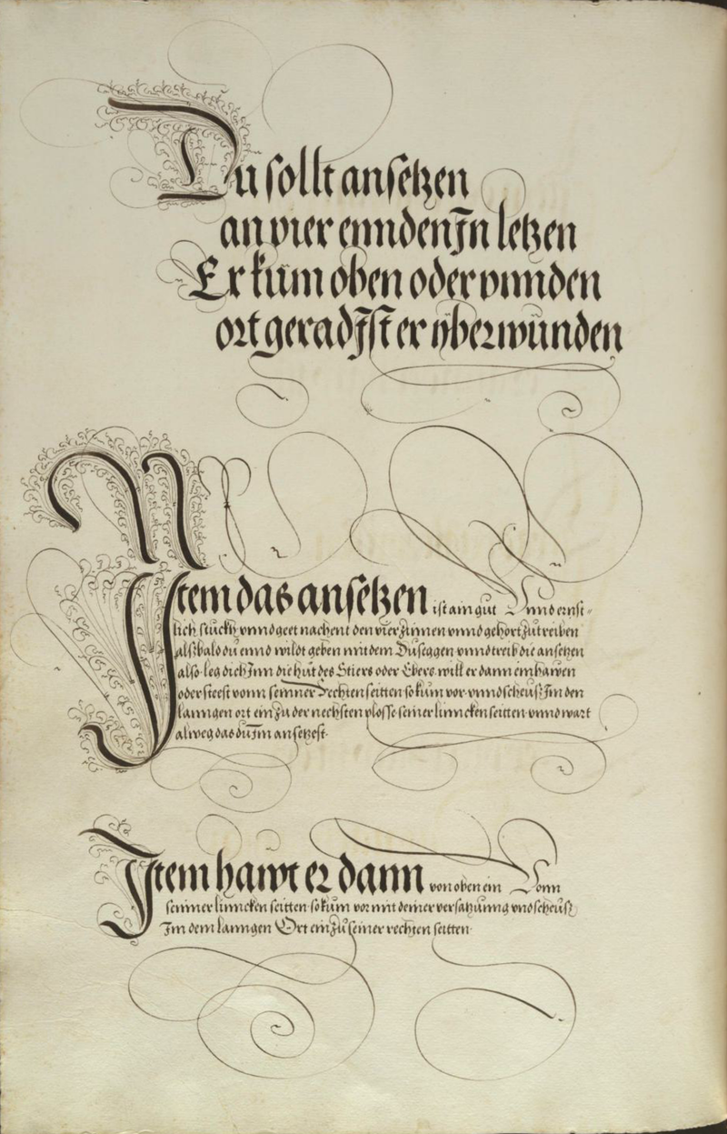MS Dresd.C.93 156v.png