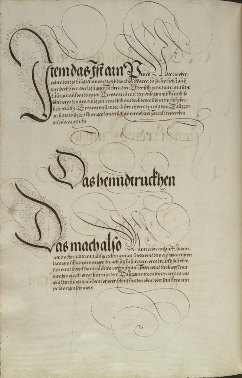 MS Dresd.C.93 172v.png