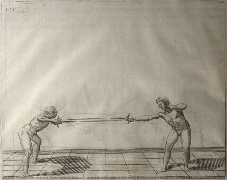 File:Scienza d'Arme (Fabris) 133.jpg