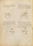 MS M.383 16v.png