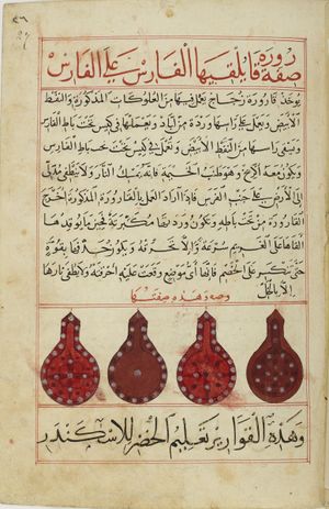 MS Arabe 2824 27r.jpg