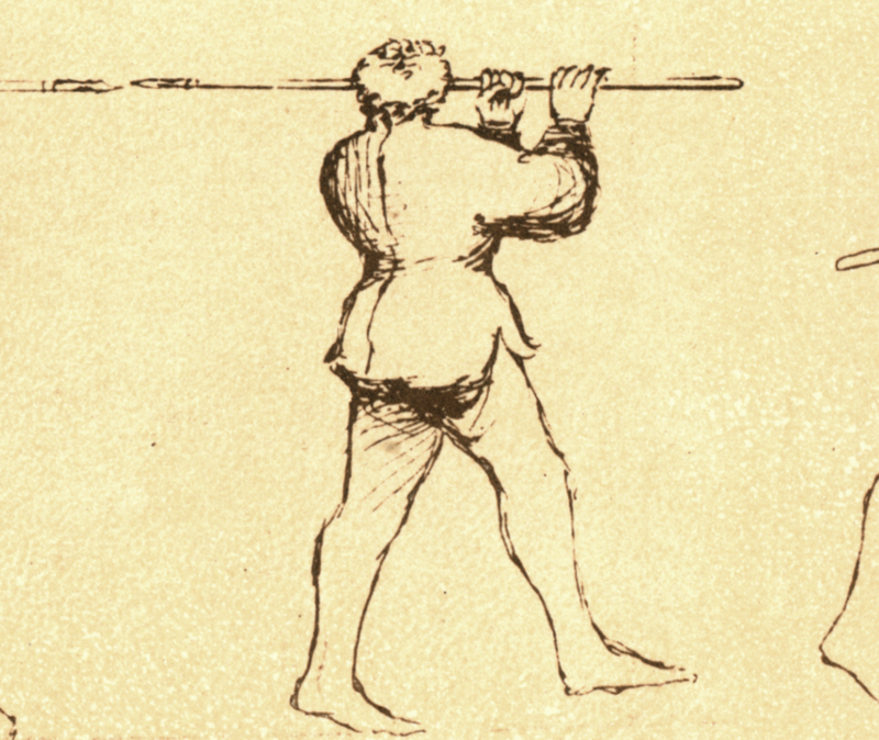 Pisani-Dossi MS 15b-c'.png