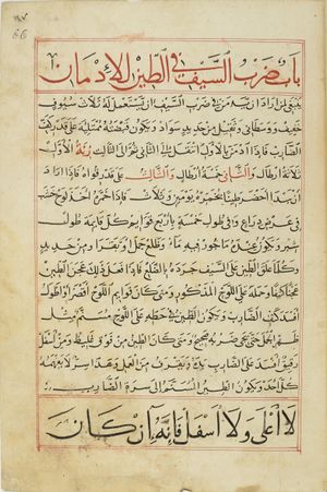 MS Arabe 2824 66r.jpg