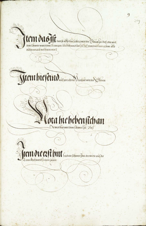 MS Dresd.C.94 309r.png