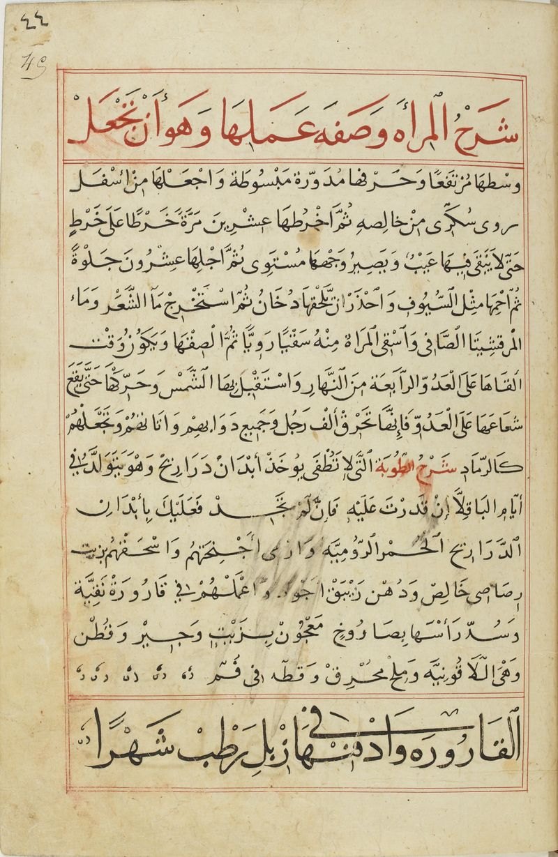 MS Arabe 2824 45r.jpg