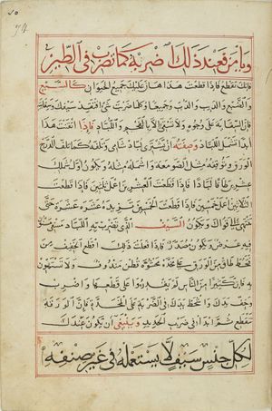 MS Arabe 2824 74r.jpg