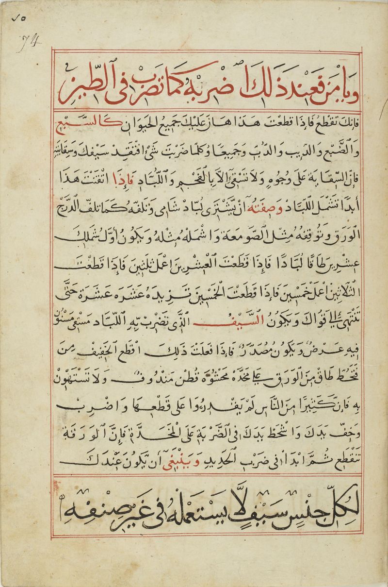 MS Arabe 2824 74r.jpg
