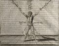Thumbnail for version as of 05:02, 20 August 2020
